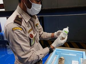 Dapat Jatah 400 Dosis Vaksin PMK, Boyolali Prioritaskan untuk Sapi Perah