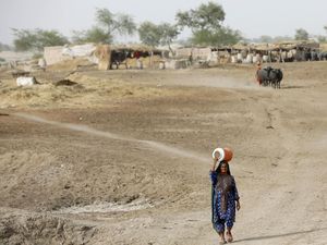 Ini Kota Terpanas yang Ada di Dunia, Suhu Mencapai 51 Derajat Celcius