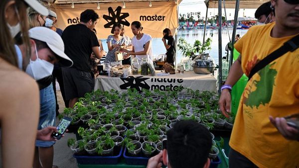 Festival Ganja Digelar Meriah di Thailand, Intip Penampakannya