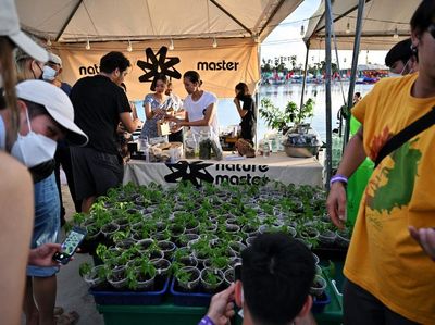 Festival Ganja Digelar Meriah di Thailand, Intip Penampakannya