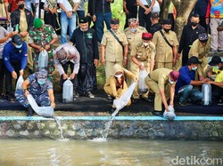 Banyuwangi Secara Simultan Terus Kampanyekan Jaga Keberlanjutan Sungai