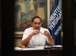 Hilirisasi Disebut Ugal-ugalan, Eks Mendag: Emang yang Mau Jaga Lingkungan Dia Aja?