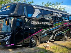 Ada Bus Rasa Pesawat di Kalimantan, Berapa Harga Tiketnya? Ada Bus Rasa Pesawat di Kalimantan, Berapa Harga Tiketnya?