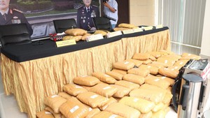 Polisi Gagalkan Peredaran 214 Kg Ganja Jaringan Sumatera