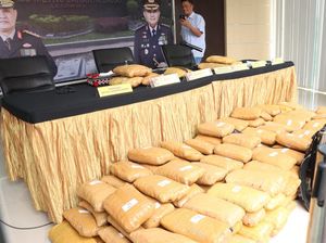 Polisi Gagalkan Peredaran 214 Kg Ganja Jaringan Sumatera