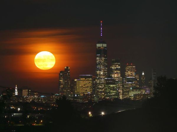 Purnama Stroberi di Langit New York Bikin Jatuh Hati