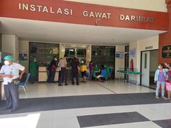 Heboh, Bocah di Buleleng Meninggal Setelah Digigit Anjing Temannya