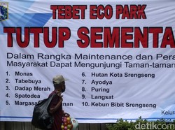 Taman Tebet, Media Sosial, dan Kerusakan Destinasi Wisata