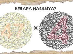 Tes Buta Warna Sekaligus Hitung Angka, Bisa Jawab dalam 5 Menit Saja?