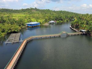 Jempolan! Perkampungan Danau Sentani Dijadikan Percontohan Ekowisata Jempolan! Perkampungan Danau Sentani Dijadikan Percontohan Ekowisata