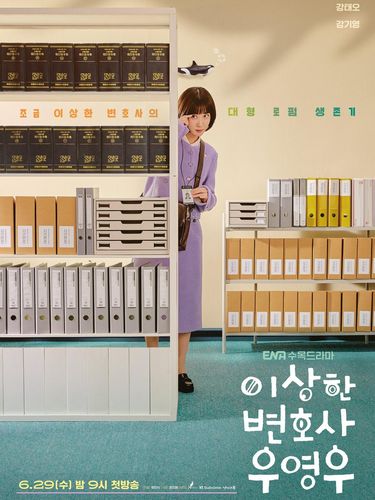 Extraordinary Attorney Woo