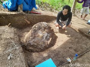 Fosil Kura-kura Purba di Sumedang Diperkirakan Berusia 1,2 Juta Tahun Fosil Kura-kura Purba di Sumedang Diperkirakan Berusia 1,2 Juta Tahun