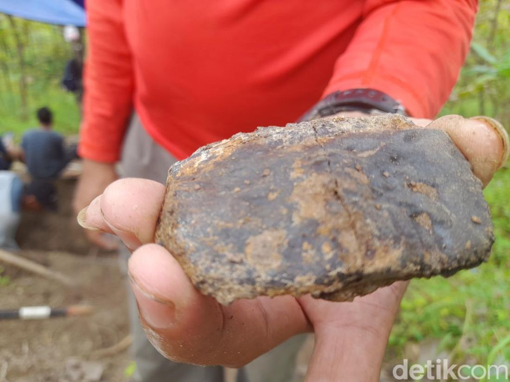 Selain Kura-kura Purba, Ditemukan Fosil Buaya di Sumedang