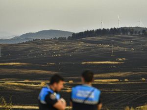 Foto Ini Rekam Hitamnya Hutan karena Kebakaran-Cuaca Panas di Spanyol