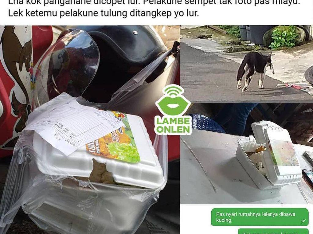 10 Potret Lucu Driver Ojol Saat Antar Makanan yang Bikin Ngakak 10 Potret Lucu Driver Ojol Saat Antar Makanan yang Bikin Ngakak