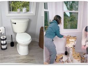 Wanita ini Tak Dibayar Setelah Kerjakan Pesanan Kue Bentuk Dudukan Toilet