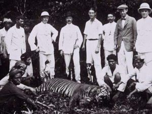 Teka-teki Harimau Jawa yang Sudah Punah, Pakar BRIN Ungkap Bukti Baru Ini Teka-teki Harimau Jawa yang Sudah Punah, Pakar BRIN Ungkap Bukti Baru Ini