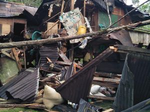 Angin Kencang Terjang Tana Toraja, Rumah Rusak Tertimpa Pohon Tumbang