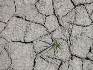 Bumi Makin Panas, Kiamat Sudah Dekat?