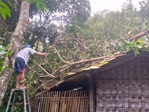 Cuaca Buruk Terjang Sleman, Pohon Tumbang-Rumah Tersambar Petir