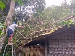 Cuaca Buruk Terjang Sleman, Pohon Tumbang-Rumah Tersambar Petir