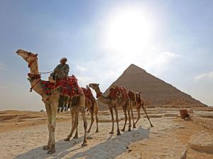 Sisi Tragis Piramida Mesir: Hewan Ditunggangi Sampai Mati Sisi Tragis Piramida Mesir: Hewan Ditunggangi Sampai Mati
