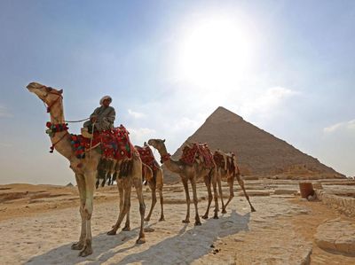 Menakjubkan! Sensasi Keliling Piramida Giza Naik Unta