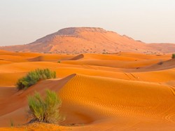 Studi Ungkap Tanah Arab Hijau dan Subur di Masa Lalu