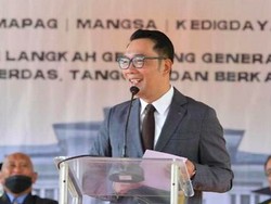 Wagub Jabar Dukung Ridwan Kamil Jadi Capres