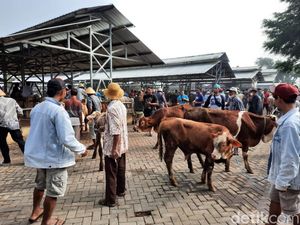 Dampak PMK, Harga Sapi di Pasar Siyono Gunungkidul Anjlok Rp 6 Juta/Ekor Dampak PMK, Harga Sapi di Pasar Siyono Gunungkidul Anjlok Rp 6 Juta/Ekor