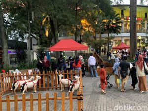 Ada Kebun Binatang Mini di Ciwalk Akhir Pekan Ini, Gratis!