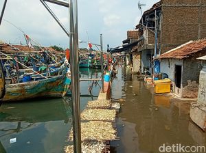 Curhatan Warga Pesisir Jepara, Kampungnya Langganan Banjir Rob Tiap Tahun Curhatan Warga Pesisir Jepara, Kampungnya Langganan Banjir Rob Tiap Tahun
