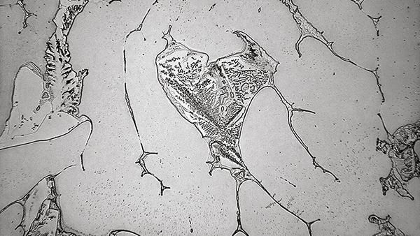 Cakep Banget! Ternyata Gini Penampakan Air Mata di Bawah Mikroskop