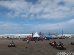 Waspada! Ubur-ubur Mulai Muncul di Pantai Parangtritis