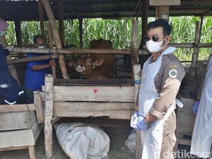 Mentan Targetkan Produksi 1 Juta Benih Kelapa