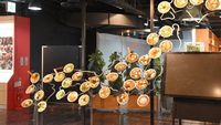 Intip Yuk! Begini Suasana dan Isi Museum Ramen di Jepang