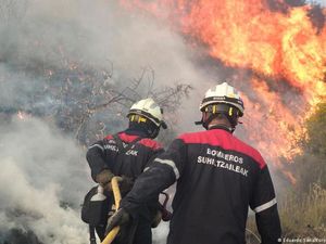 Spanyol dan Prancis Dilanda Gelombang Panas Ekstrem
