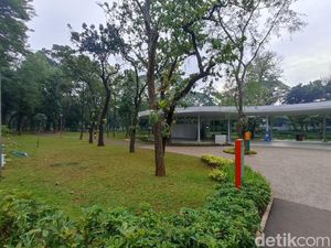 Warga Kecewa Tebet Eco Park Ditutup: Padahal Sudah Datang Jauh-jauh