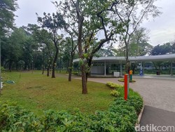 Warga Kecewa Tebet Eco Park Ditutup: Padahal Sudah Datang Jauh-jauh