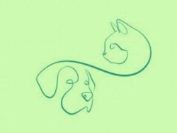 Tes Kepribadian: Gambar Kucing atau Anjing yang Pertama Kali Kamu Lihat?