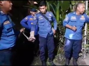 Ular Kobra 3 Meter Masuk Warkop di Gowa Bikin Geger Pengunjung Ular Kobra 3 Meter Masuk Warkop di Gowa Bikin Geger Pengunjung