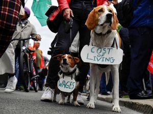 Gaya Dua Anjing Ikut Demo Kenaikan Harga di Irlandia