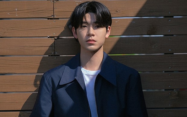 Bae Hyun Sung berada di bawah naungan agensi Awesome ENT yang merupakan rumah bagi aktor Park Seo Joon, Kim Do Wan, dan Kim Yoo Jung