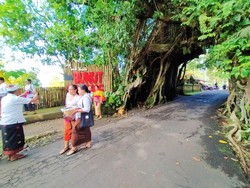 Mengunjungi Bunut Bolong, Objek Wisata Bersejarah-Mistis di Jembrana