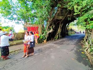 Mengunjungi Bunut Bolong, Objek Wisata Bersejarah-Mistis di Jembrana Mengunjungi Bunut Bolong, Objek Wisata Bersejarah-Mistis di Jembrana