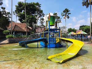 Fasilitas Rusak, Kolam Renang Berlumut, Pengelola Wendit Buka Suara
