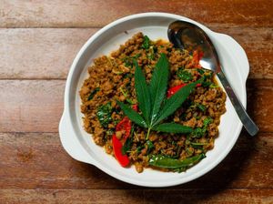 Hikayat Ganja dari Aceh: Dipakai Sultan untuk Pengawet Makanan