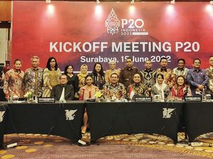 Pimpinan BKSAP Harap Momen G20-P20 Jadi Momen RI Tunjukkan Kekuatan