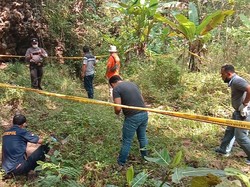 Hii! Pencari Rumput Temukan Kerangka Manusia di Purwosari Gunungkidul