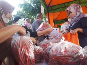 Mentan Bingung, Harga Cabai di Petani Murah Sampai Penjual Kok Mahal?